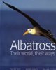 Albatros