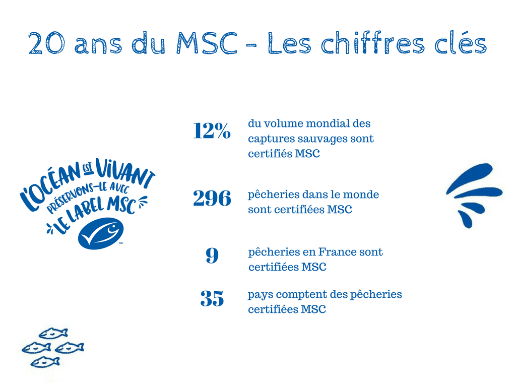 chiffres-cles-20ans-du-MSC