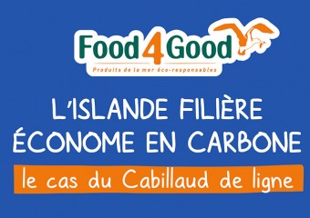 L'Islande, filière économe en carbone