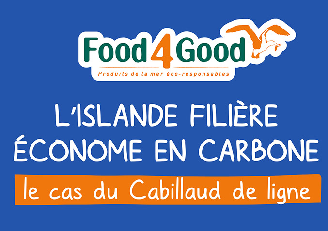 L'Islande, filière économe en carbone